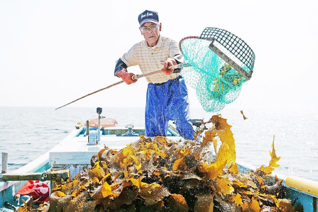 280510786_963521421002949_6776797236803460381_n