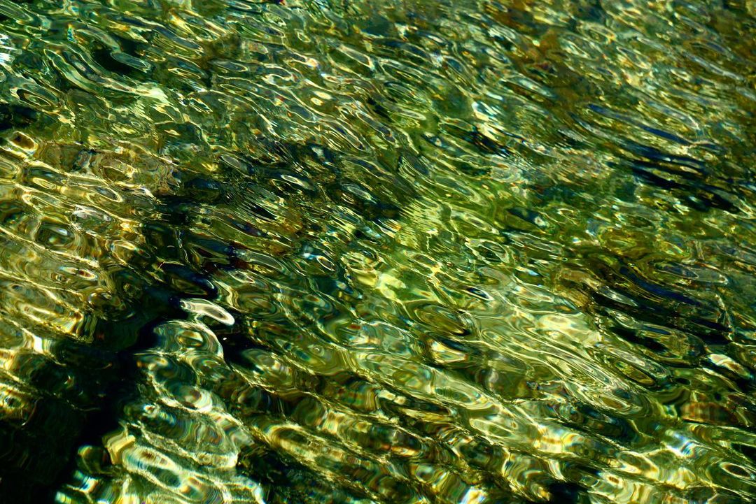 290012737_372250091677033_1100505244783311179_n