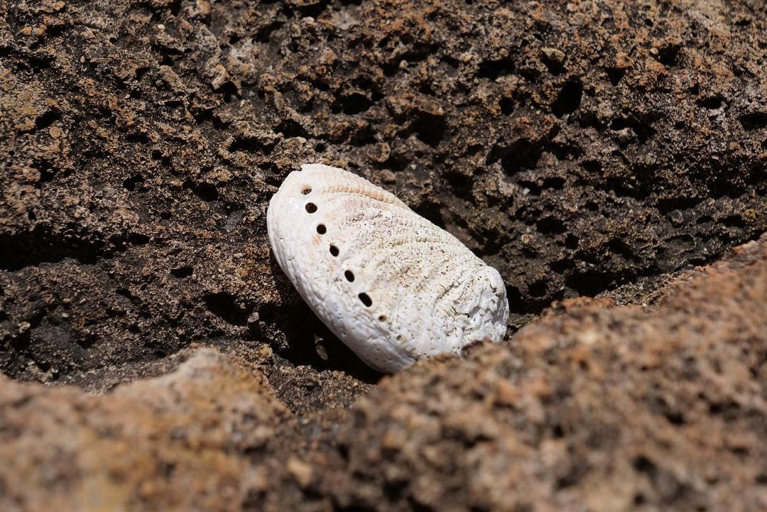 290145863_1454320548345136_2035681033915713632_n